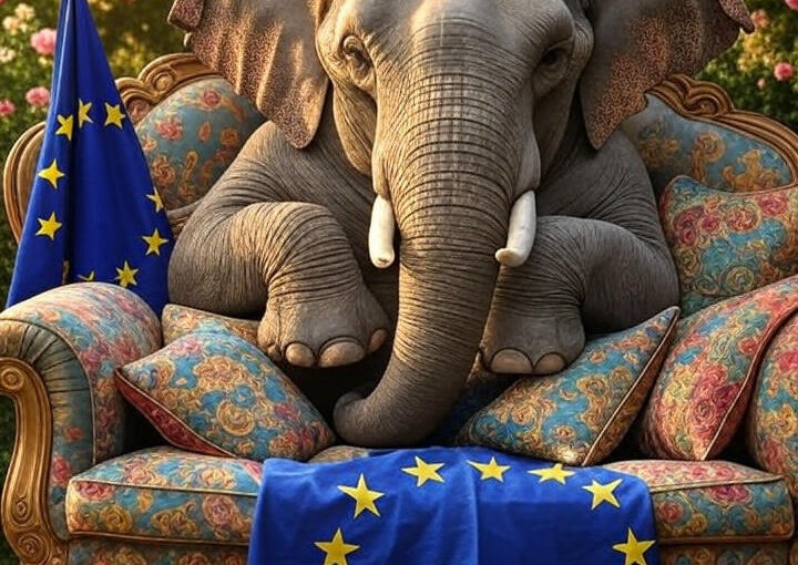 Streit um das „Volk“ und den Islam – ist die Zeitenwende unvermeidlich ?